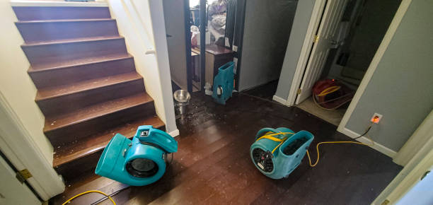 Best Water damage cleanup near me  in Verona, KY