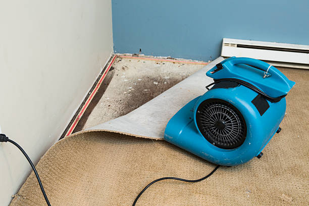 Best Carpet water damage restoration  in Verona, KY